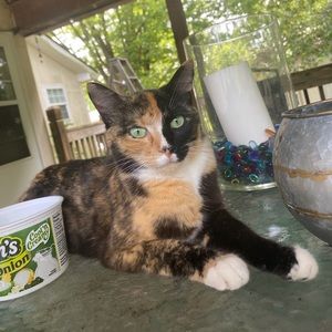 Meet your Posher, Jacob